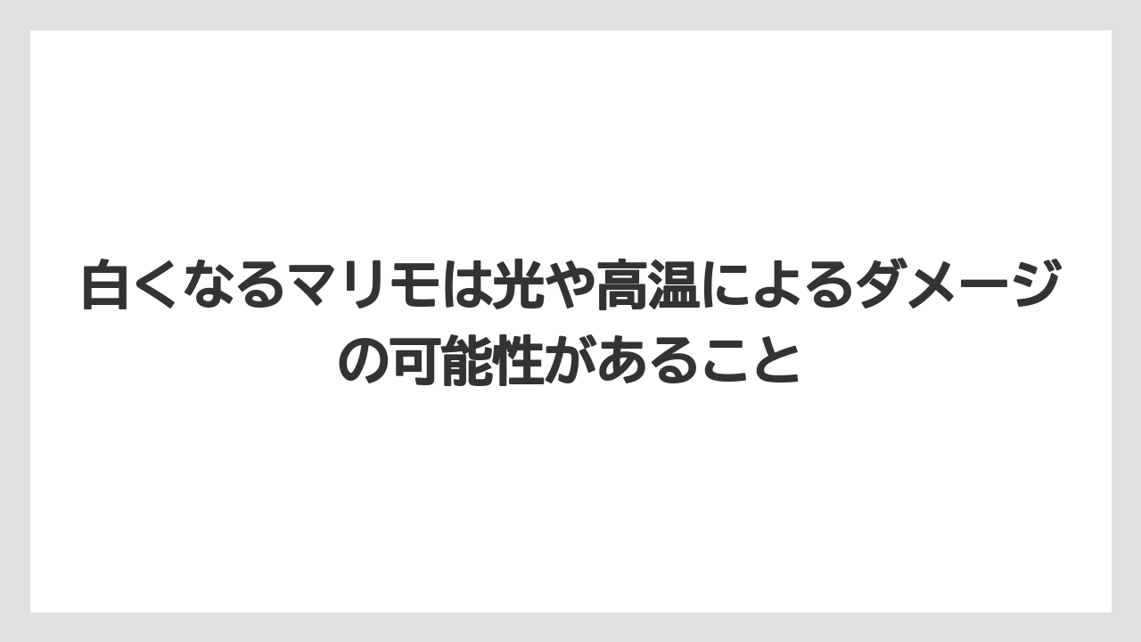 【まりも】【バラ】【栽培】白くなるマリモは光や高温によるダメージの可能性があること