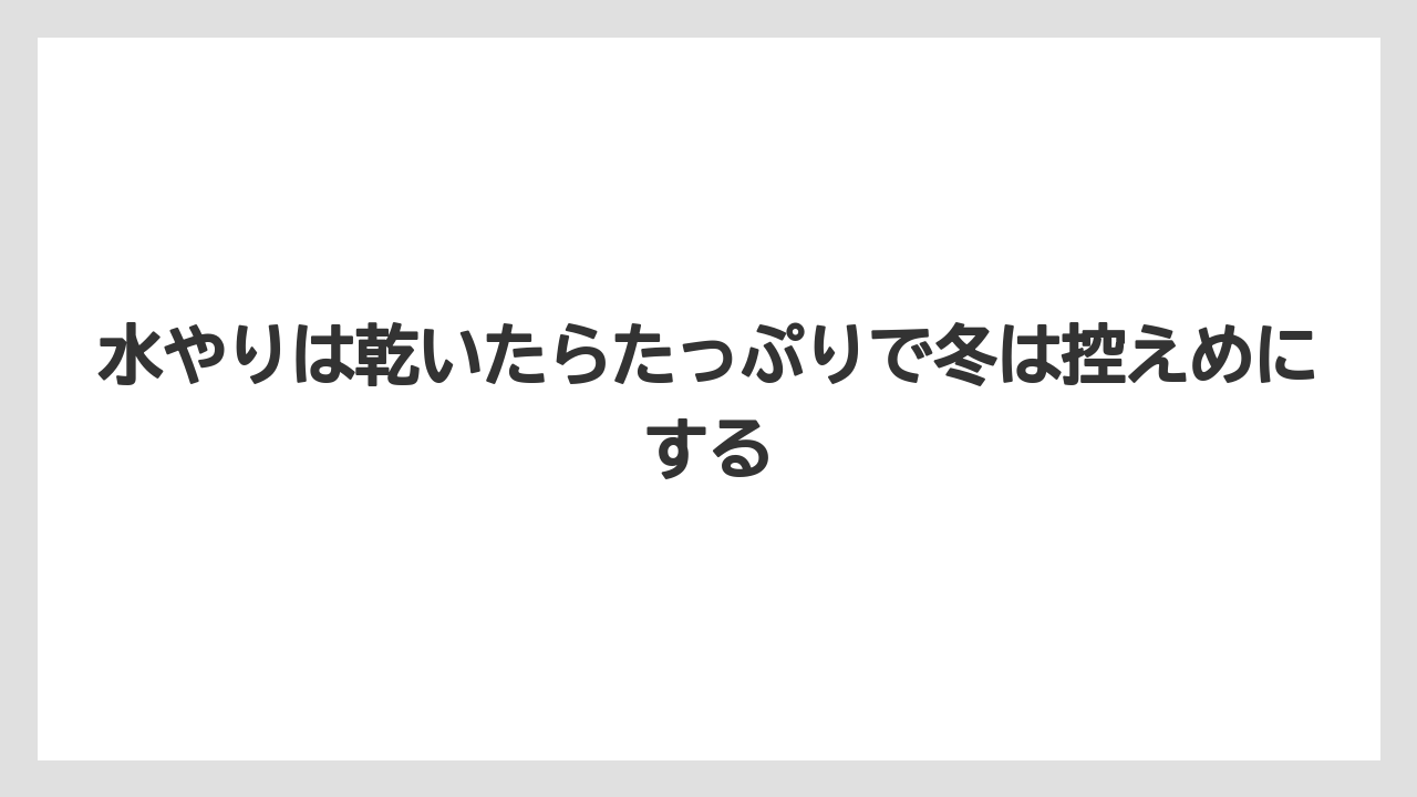 【栽培】【育て方】【越し】水やりは乾いたらたっぷりで冬は控えめにする