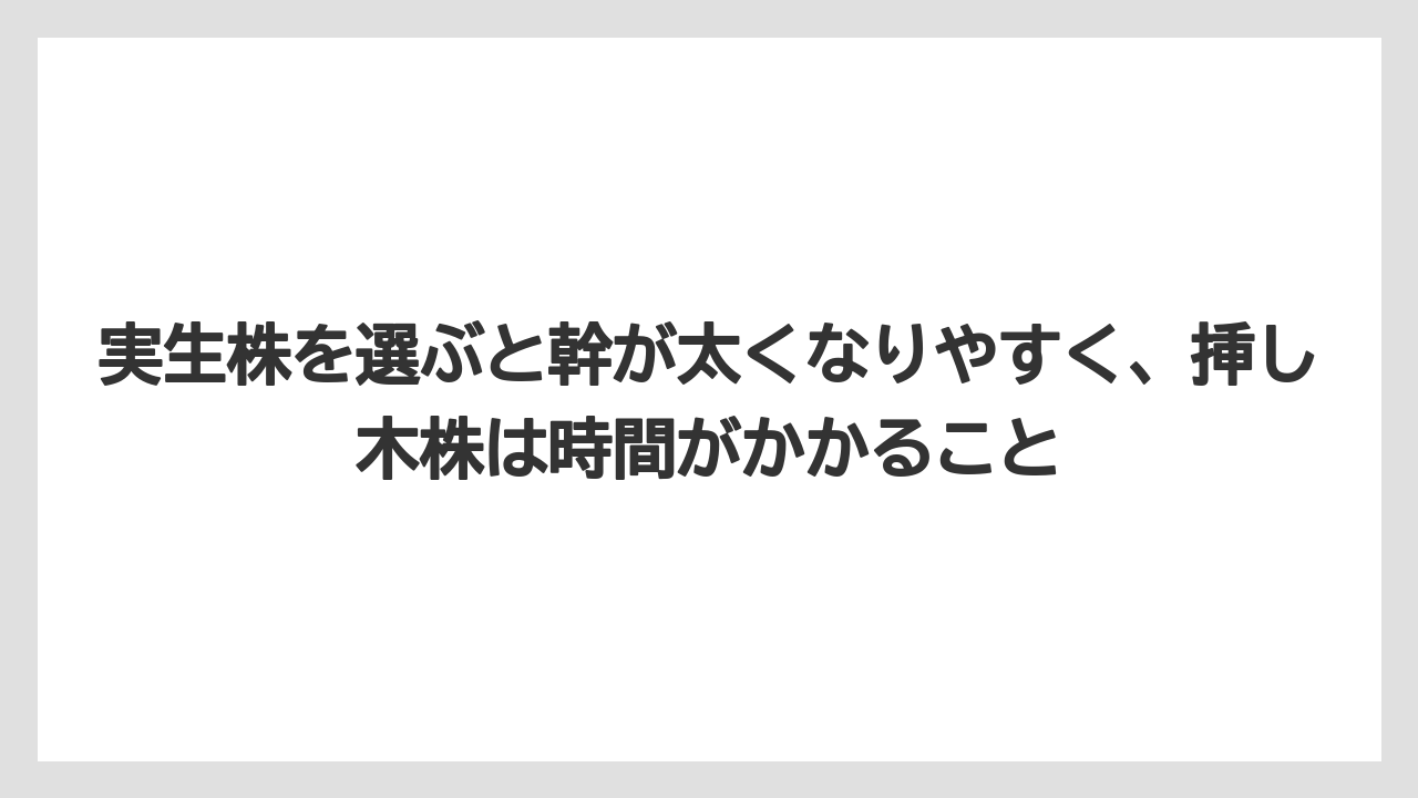 【パキラ】【栽培】【農業】実生株を選ぶと幹が太くなりやすく、挿し木株は時間がかかること