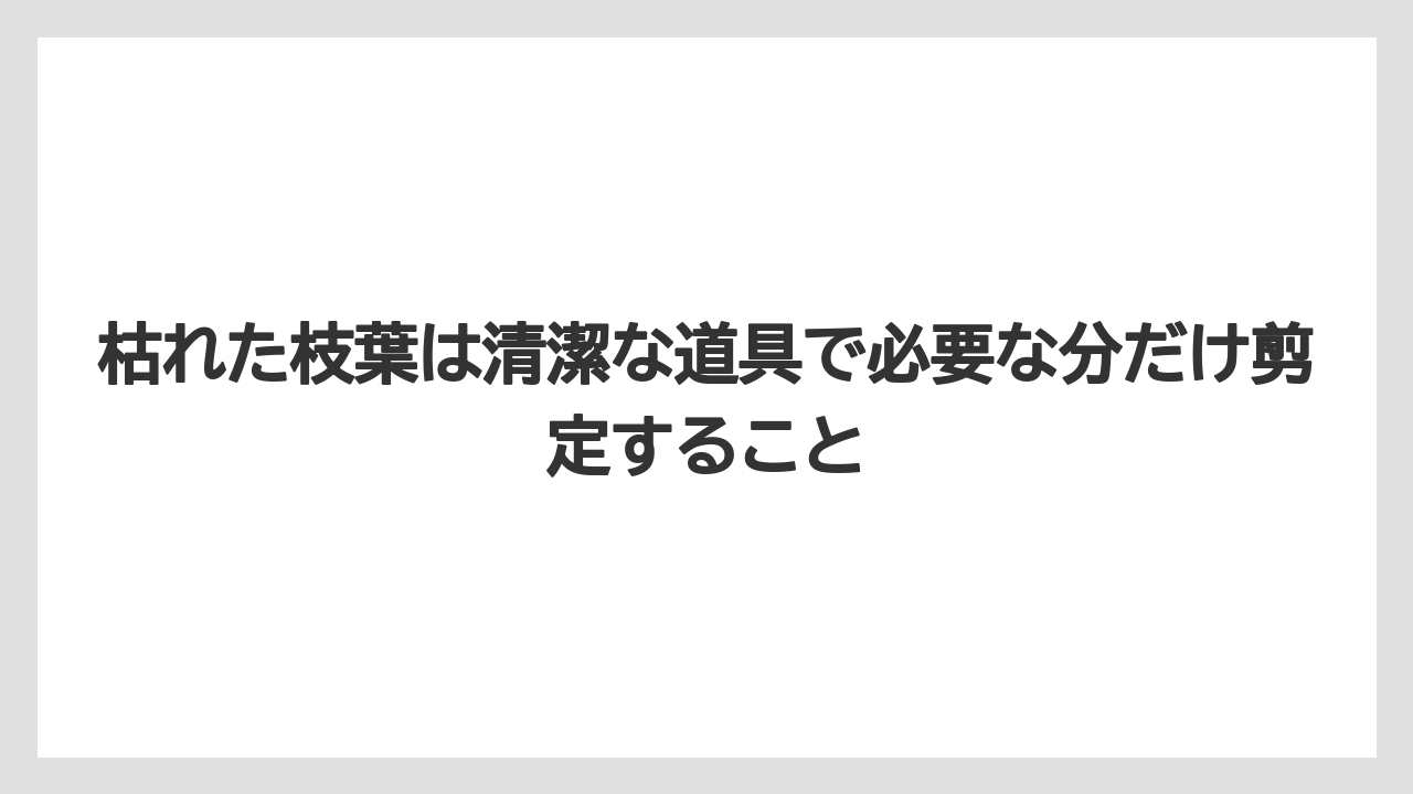 【枯れ】【栽培】【農業】枯れた枝葉は清潔な道具で必要な分だけ剪定すること