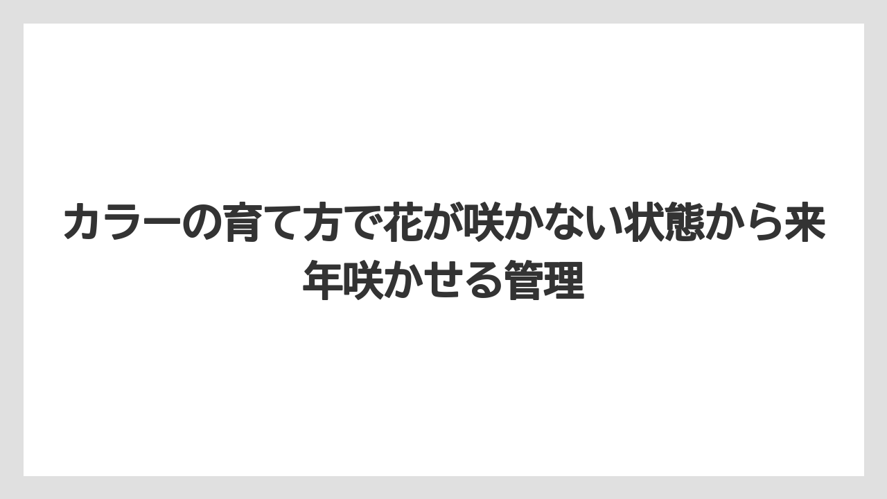 【栽培】【農園】【農業】肥料のやりすぎは花より葉を育ててしまうこと