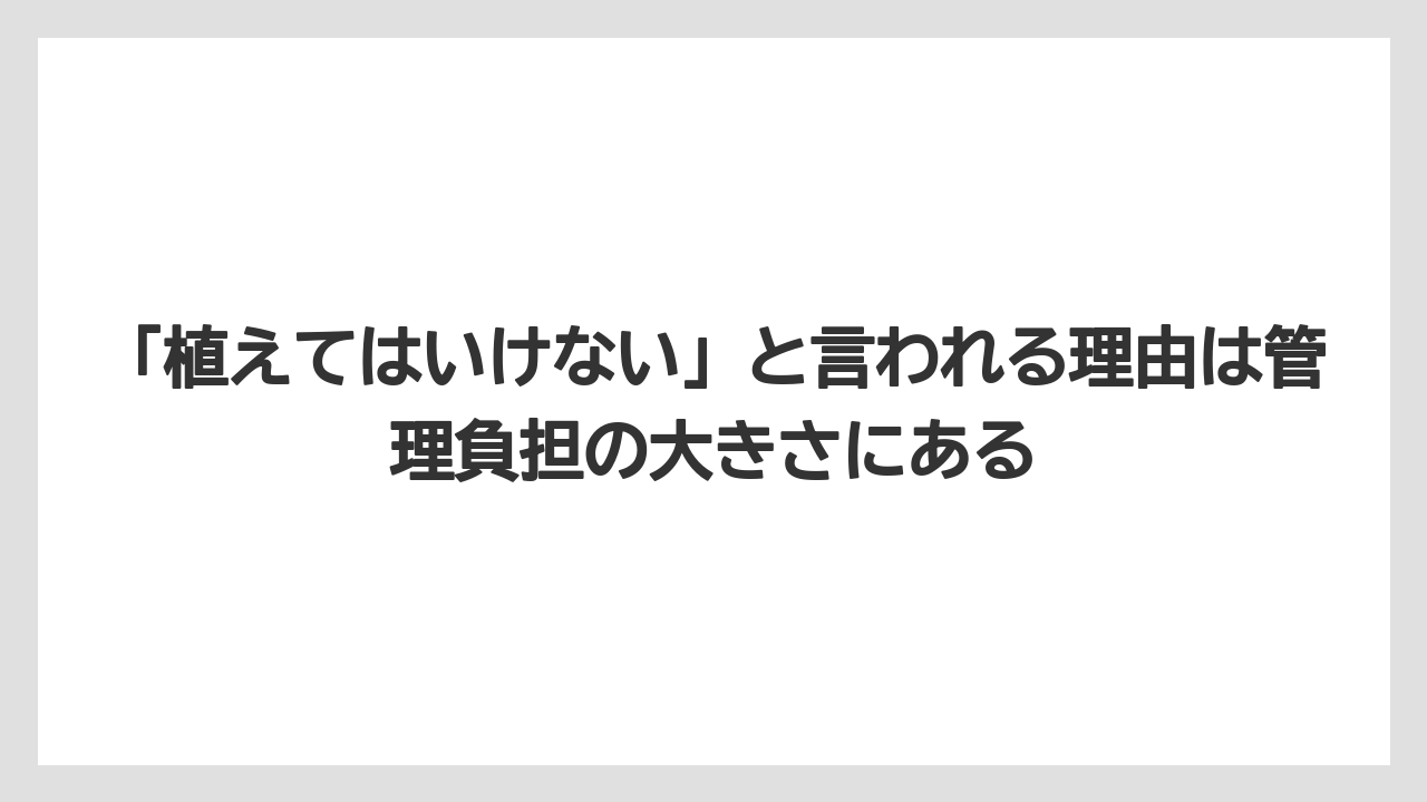 「植えてはいけない」と言われる理由は管理負担の大きさにある