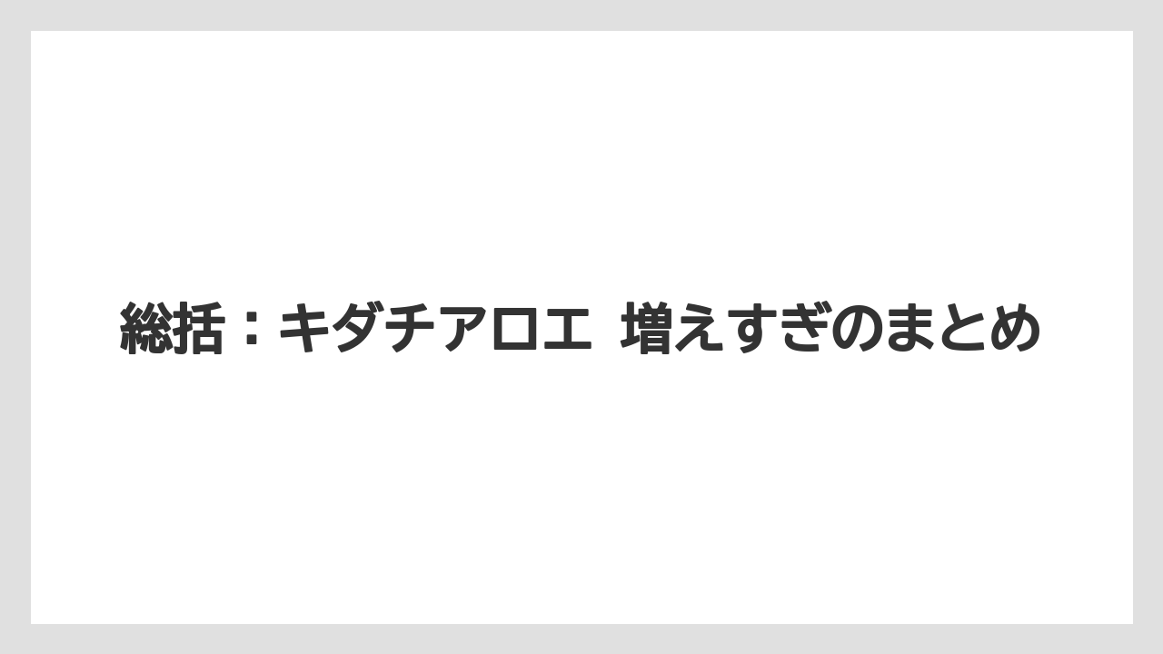 【栽培】【農園】【農業】総括：キダチアロエ 増えすぎのまとめ