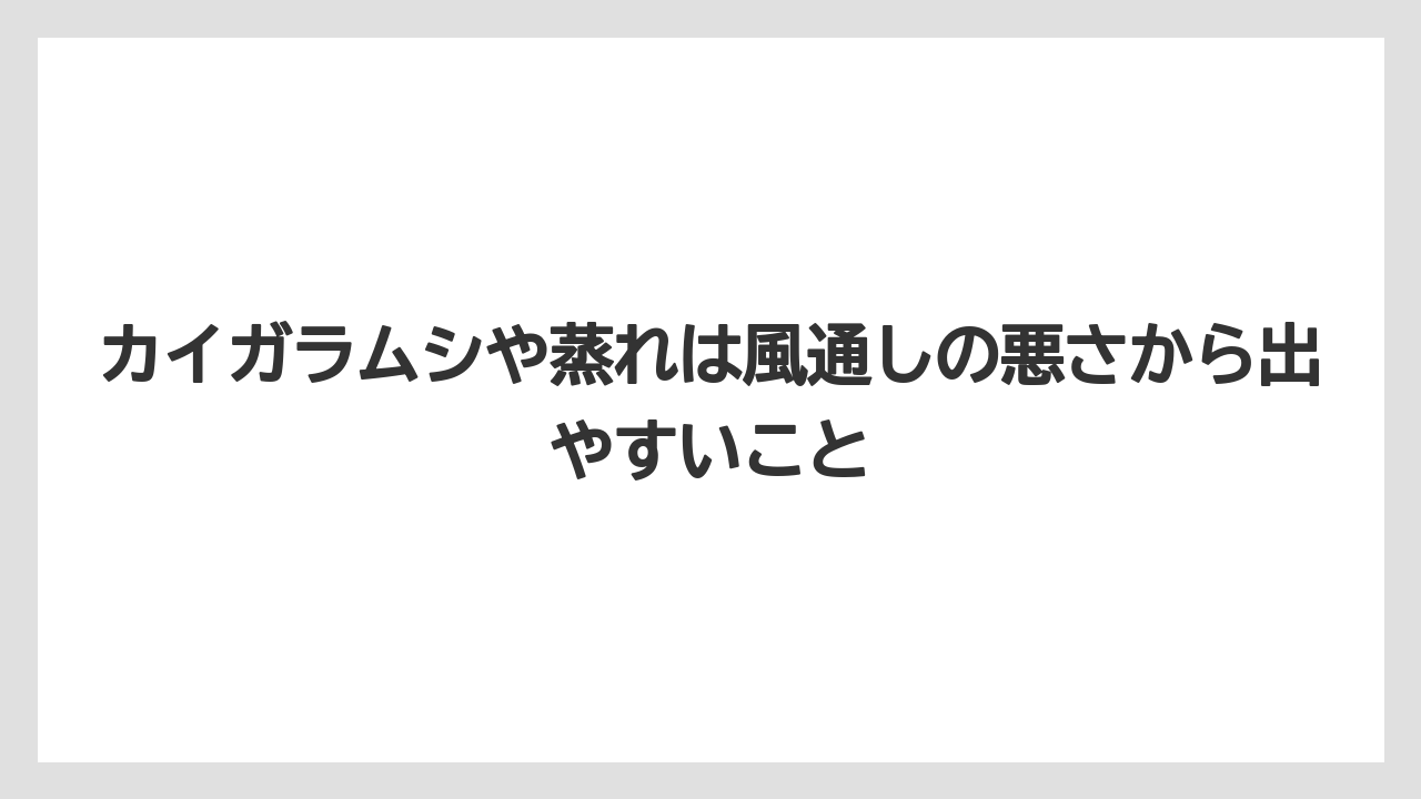 【100均】【エケベリア】【バラ】【多肉植物】【栽培】カイガラムシや蒸れは風通しの悪さから出やすいこと