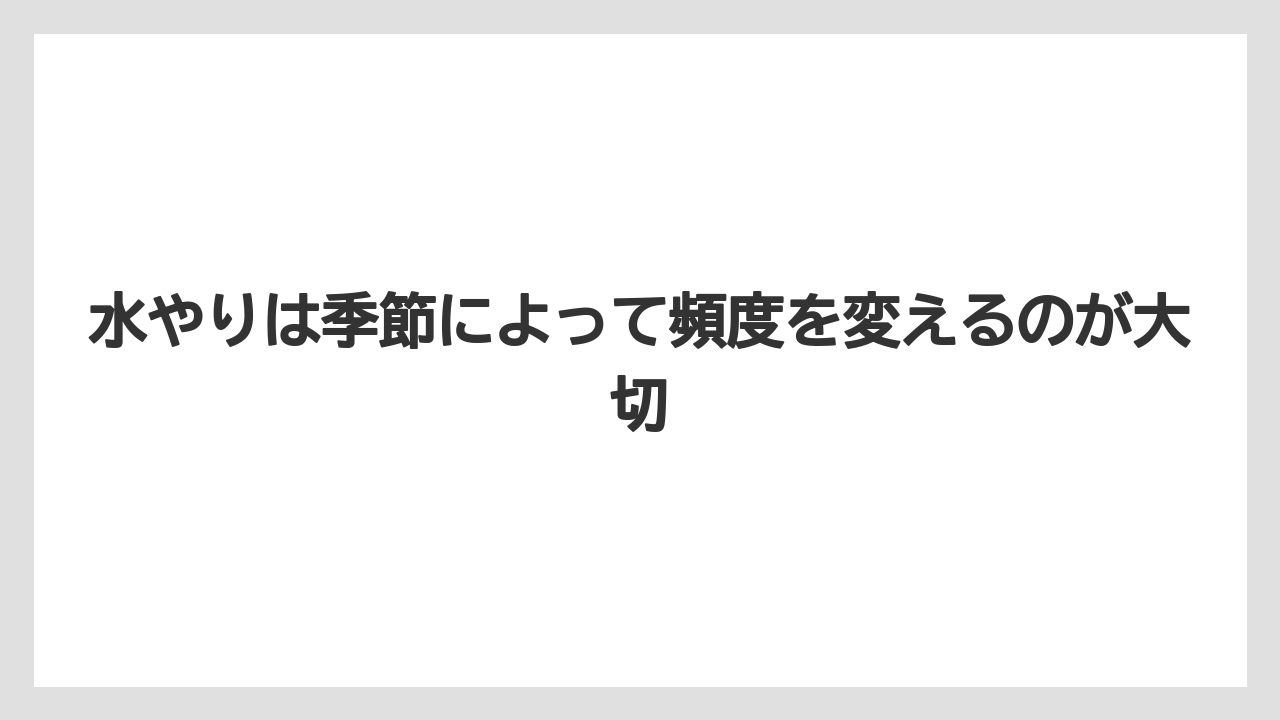 【サボテン】【栽培】【花】水やりは季節によって頻度を変えるのが大切