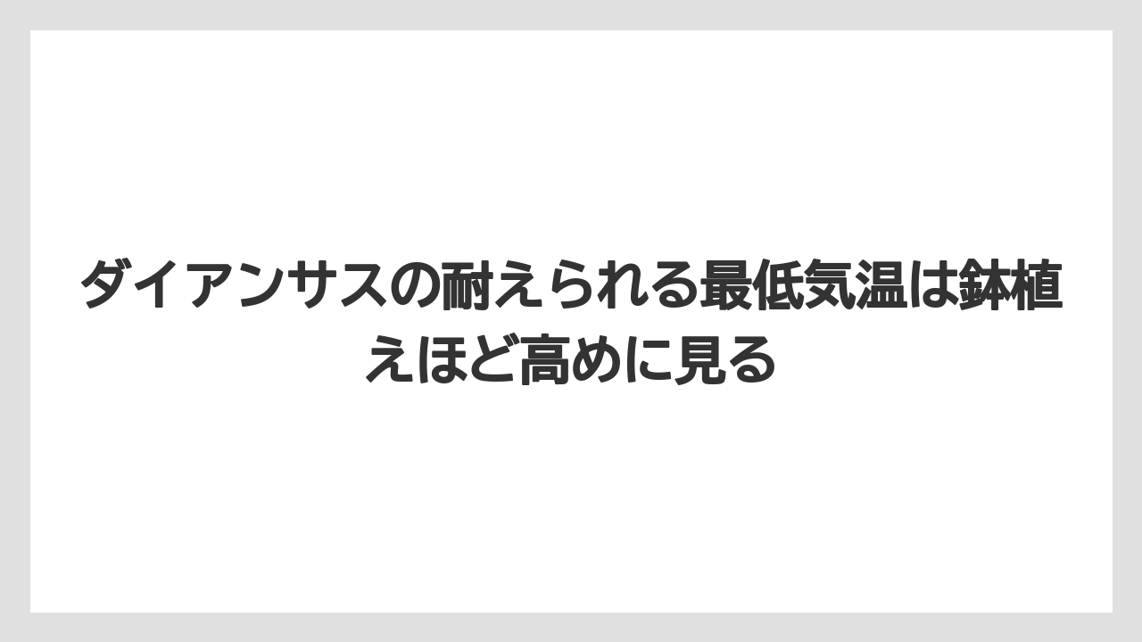 【栽培】【農園】【農業】ダイアンサスの耐えられる最低気温は鉢植えほど高めに見る