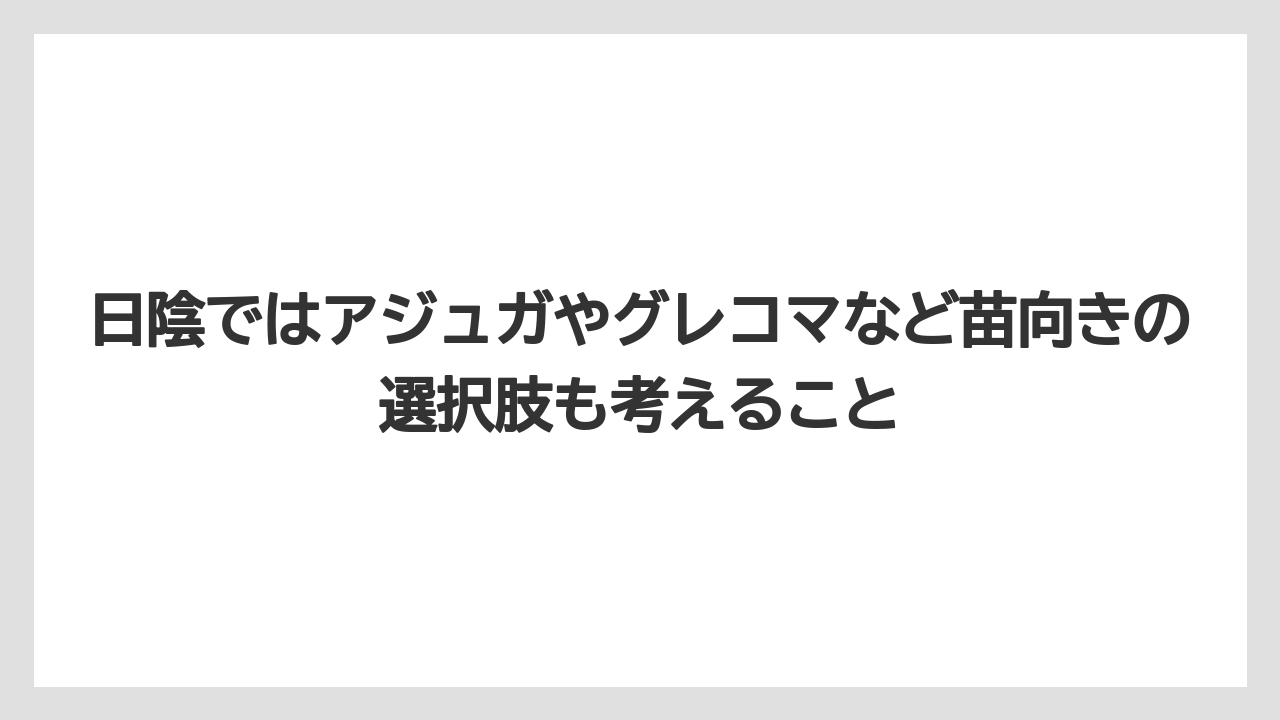 【栽培】【農園】【農業】日陰ではアジュガやグレコマなど苗向きの選択肢も考えること