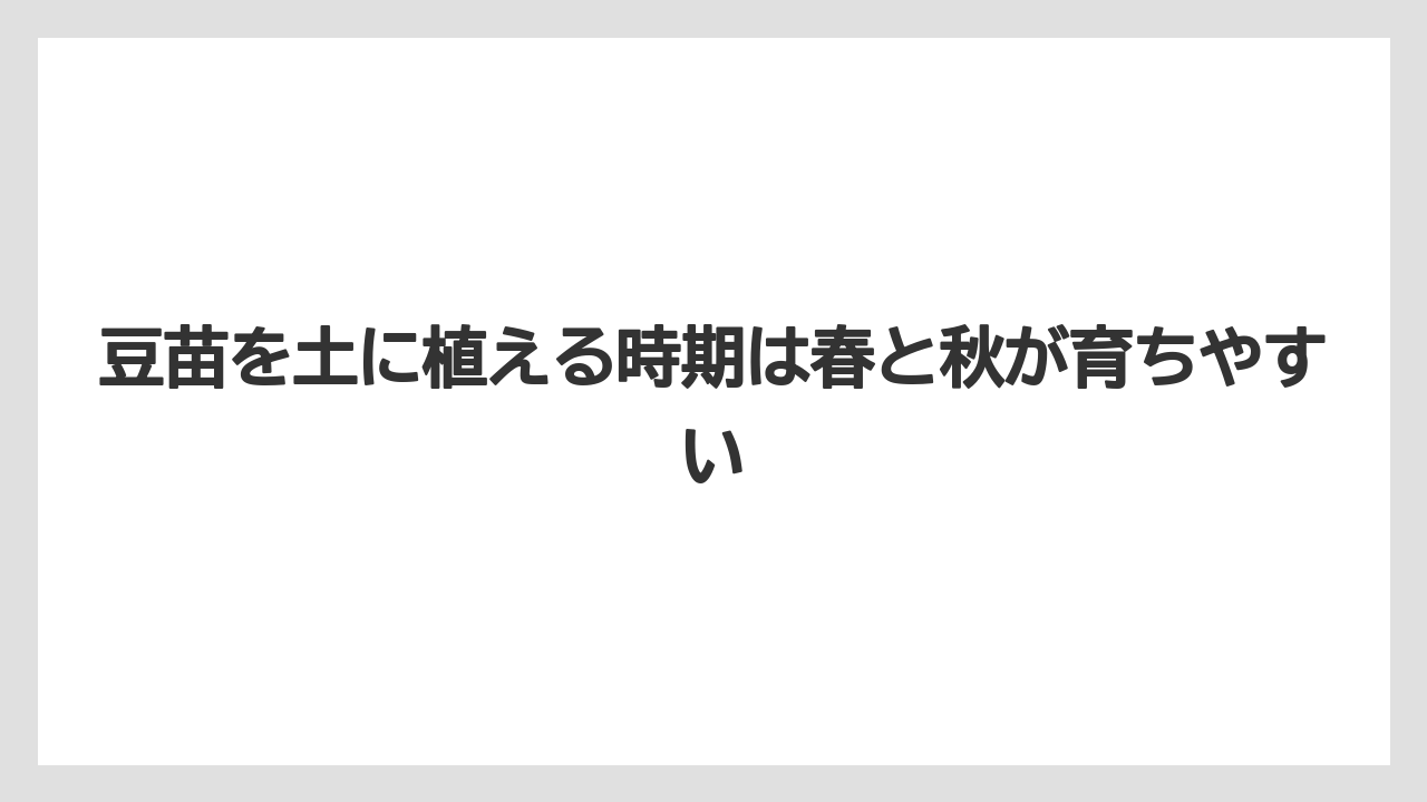 【支柱】【栽培】【豆苗】【農業】豆苗を土に植える時期は春と秋が育ちやすい