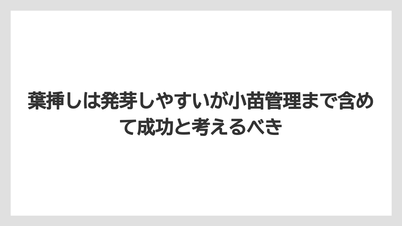 【100均】【栽培】【農業】葉挿しは発芽しやすいが小苗管理まで含めて成功と考えるべき