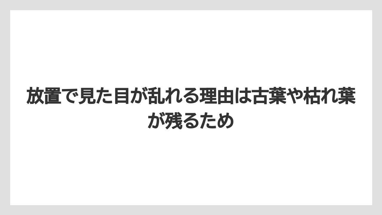 【栽培】【農園】【農業】放置で見た目が乱れる理由は古葉や枯れ葉が残るため