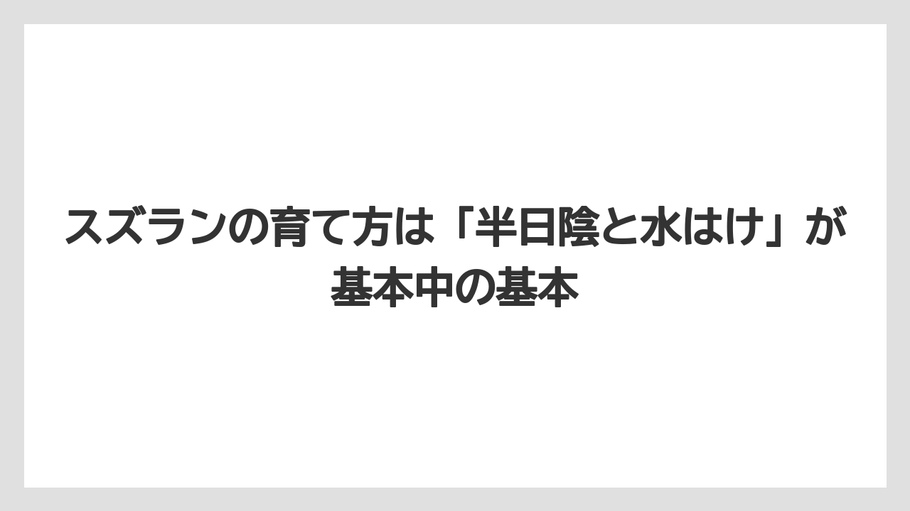 【栽培】【農園】【農業】スズランの育て方は「半日陰と水はけ」が基本中の基本