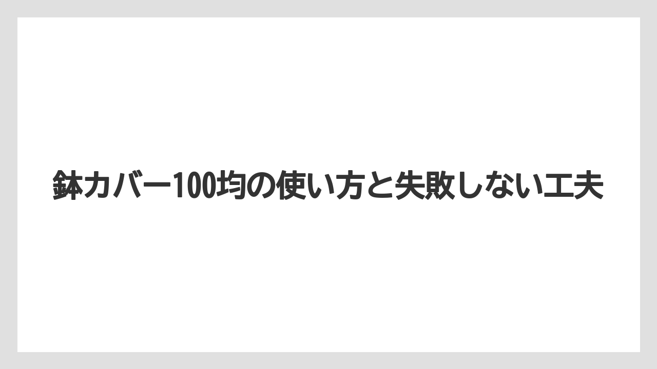 【100均】【サンスベリア】【パキラ】【モンステラ】【多肉植物】大型観葉植物はランドリーバッグやバスケットを候補にする