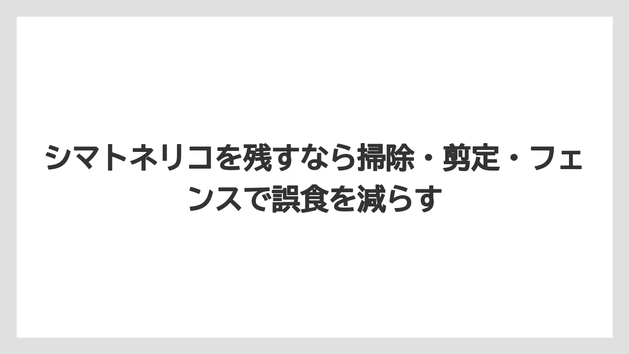 【しそ】【モンステラ】【栽培】【猫】【猫草】シマトネリコを残すなら掃除・剪定・フェンスで誤食を減らす