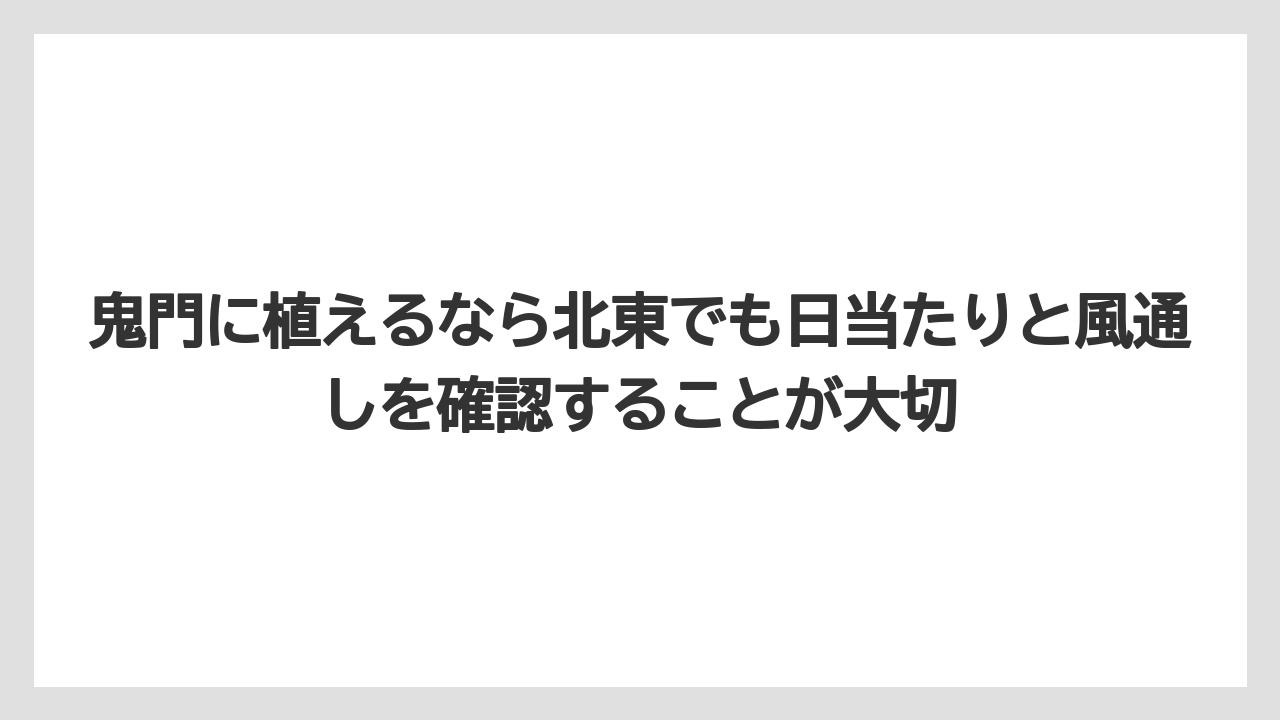 【栽培】【農園】【農業】鬼門に植えるなら北東でも日当たりと風通しを確認することが大切