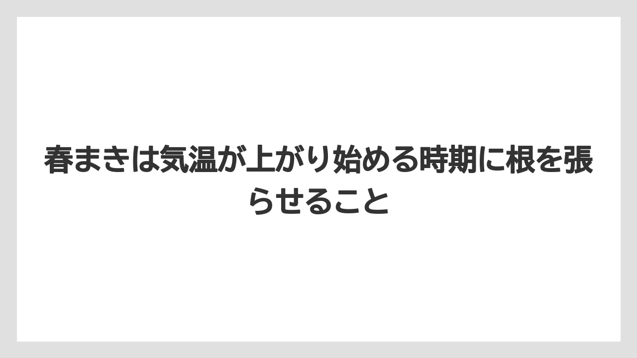 【栽培】【農園】【農業】春まきは気温が上がり始める時期に根を張らせること