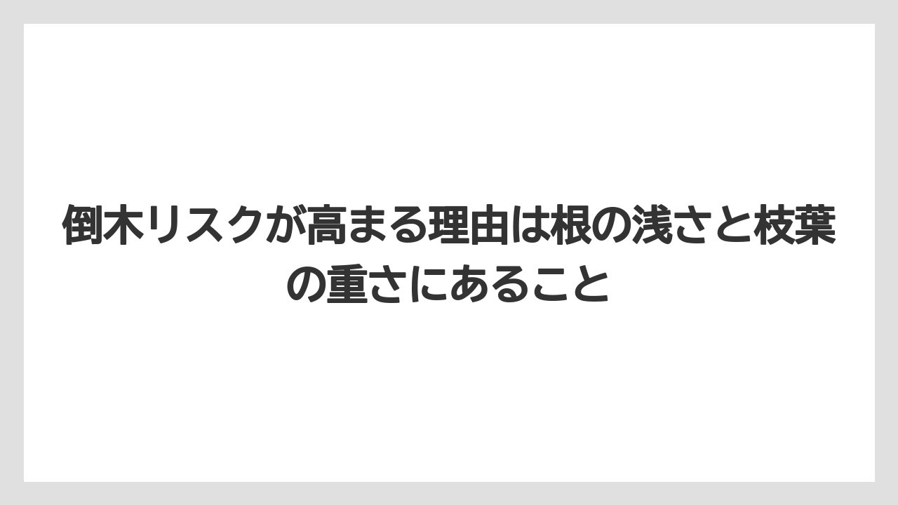 【栽培】【農園】【農業】倒木リスクが高まる理由は根の浅さと枝葉の重さにあること
