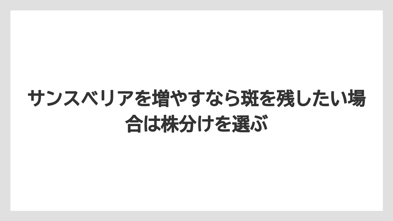 【サンスベリア】【サンセベリア】【栽培】【育て方】サンスベリアを増やすなら斑を残したい場合は株分けを選ぶ