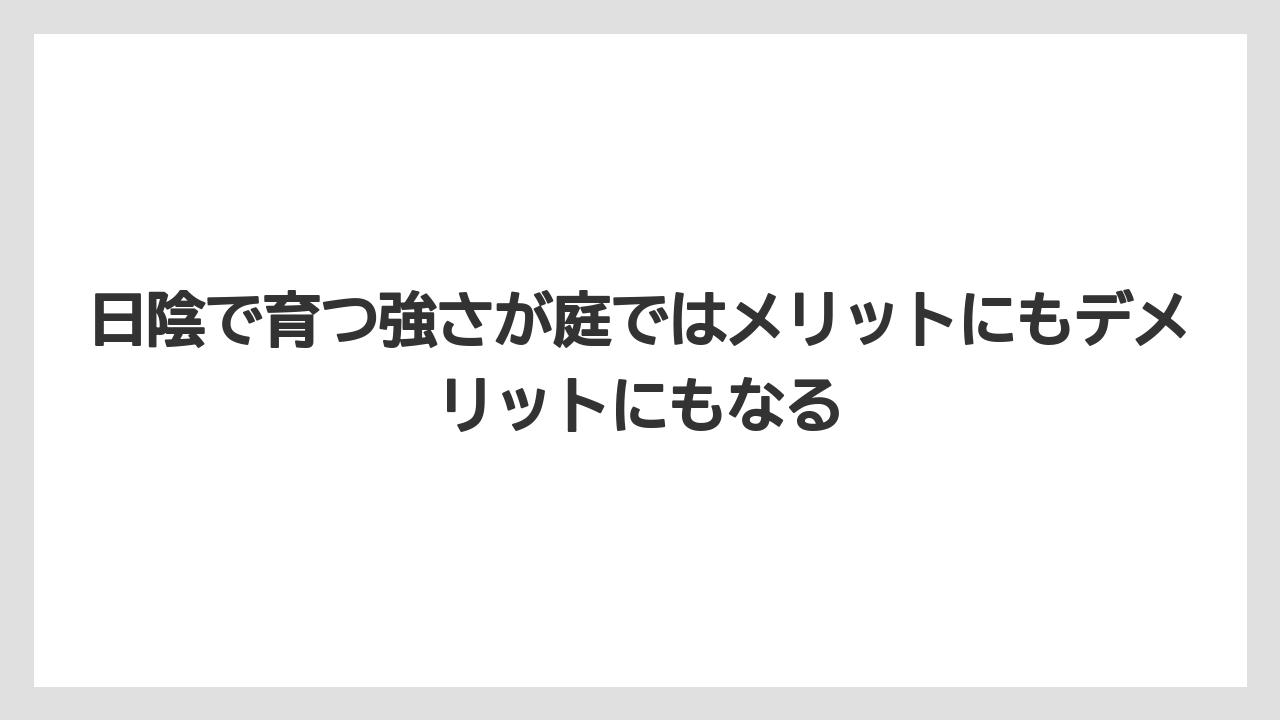 【ミント】【栽培】【猫】日陰で育つ強さが庭ではメリットにもデメリットにもなる
