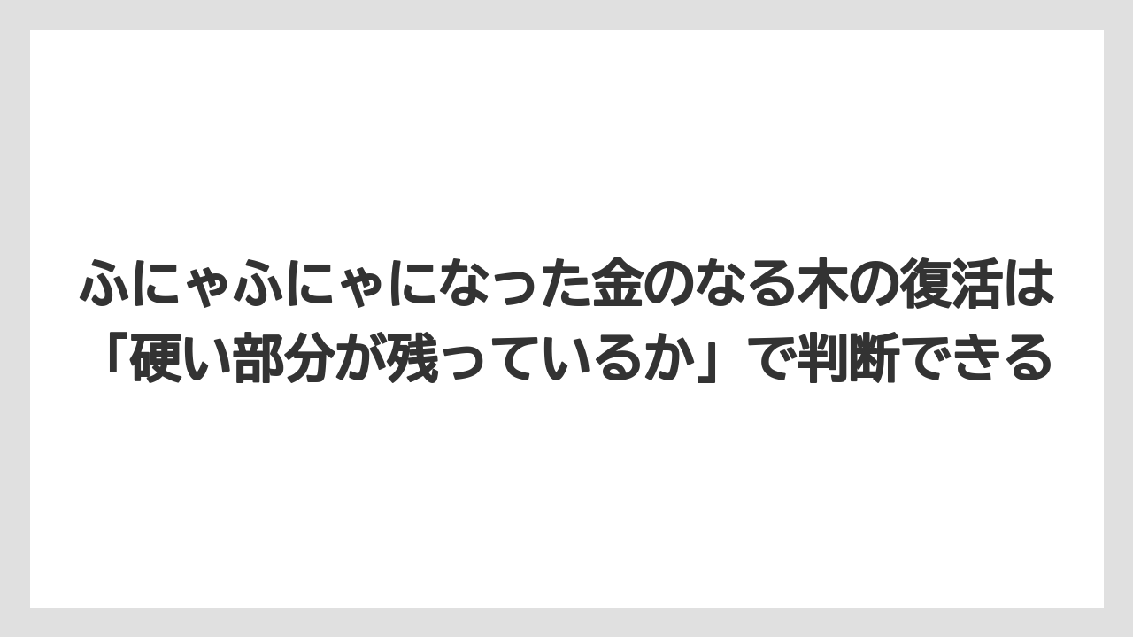 【木】【栽培】【農業】ふにゃふにゃになった金のなる木の復活は「硬い部分が残っているか」で判断できる