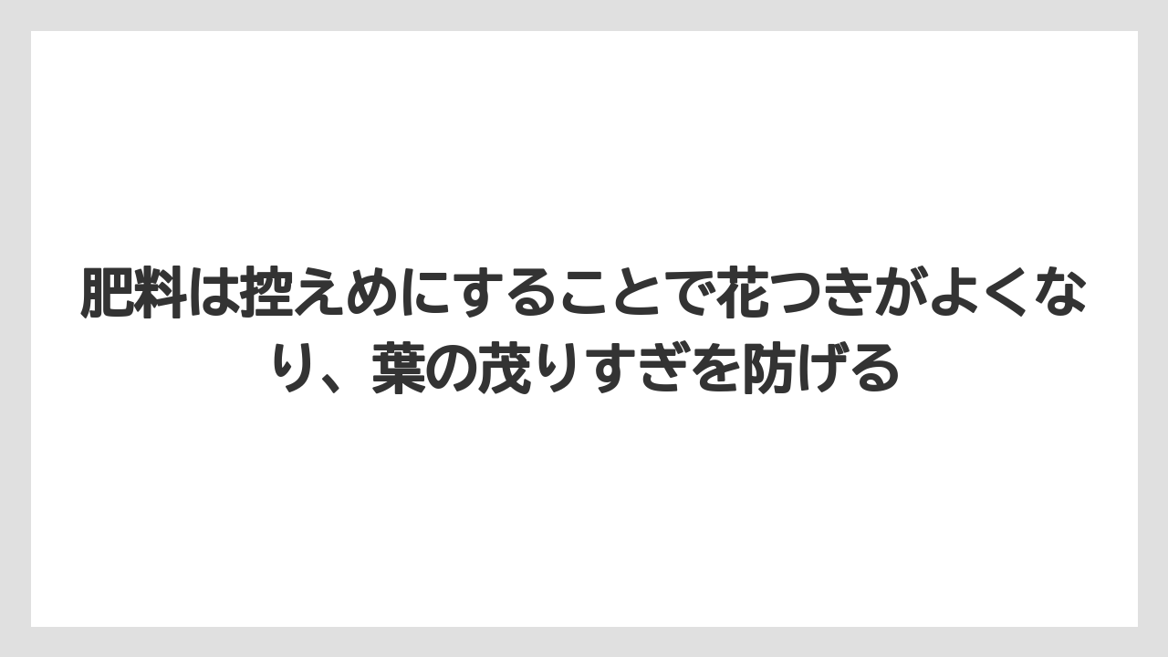 【栽培】【育て方】【草】肥料は控えめにすることで花つきがよくなり、葉の茂りすぎを防げる