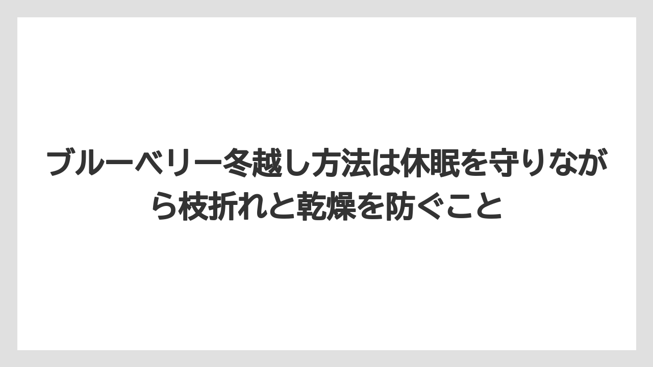 【栽培】【農園】【農業】ブルーベリー冬越し方法は休眠を守りながら枝折れと乾燥を防ぐこと