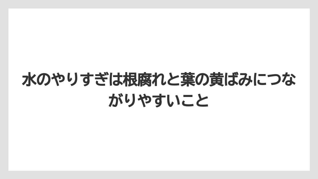 【栽培】【花】【農業】水のやりすぎは根腐れと葉の黄ばみにつながりやすいこと