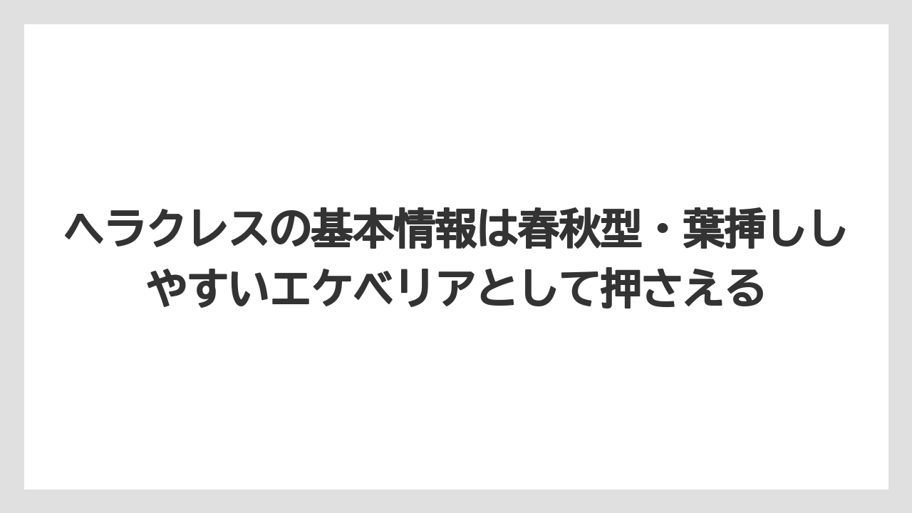 【100均】【栽培】【農業】ヘラクレスの基本情報は春秋型・葉挿ししやすいエケベリアとして押さえる
