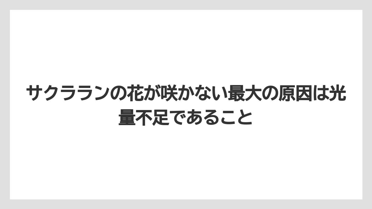 【栽培】【農園】【農業】サクラランの花が咲かない最大の原因は光量不足であること