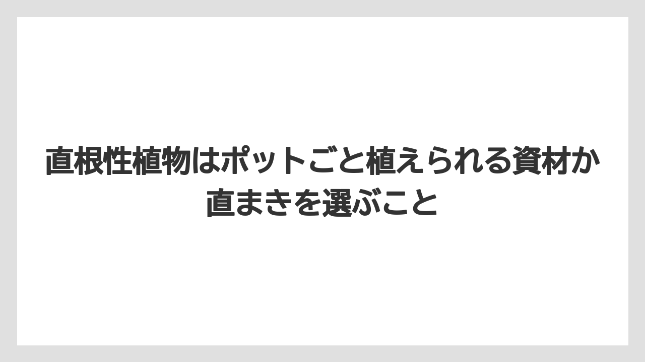 【栽培】【農園】【農業】直根性植物はポットごと植えられる資材か直まきを選ぶこと