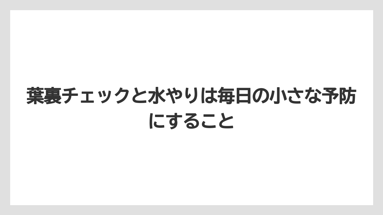 【コーヒー】【大葉】【栽培】【肥料】【農業】葉裏チェックと水やりは毎日の小さな予防にすること