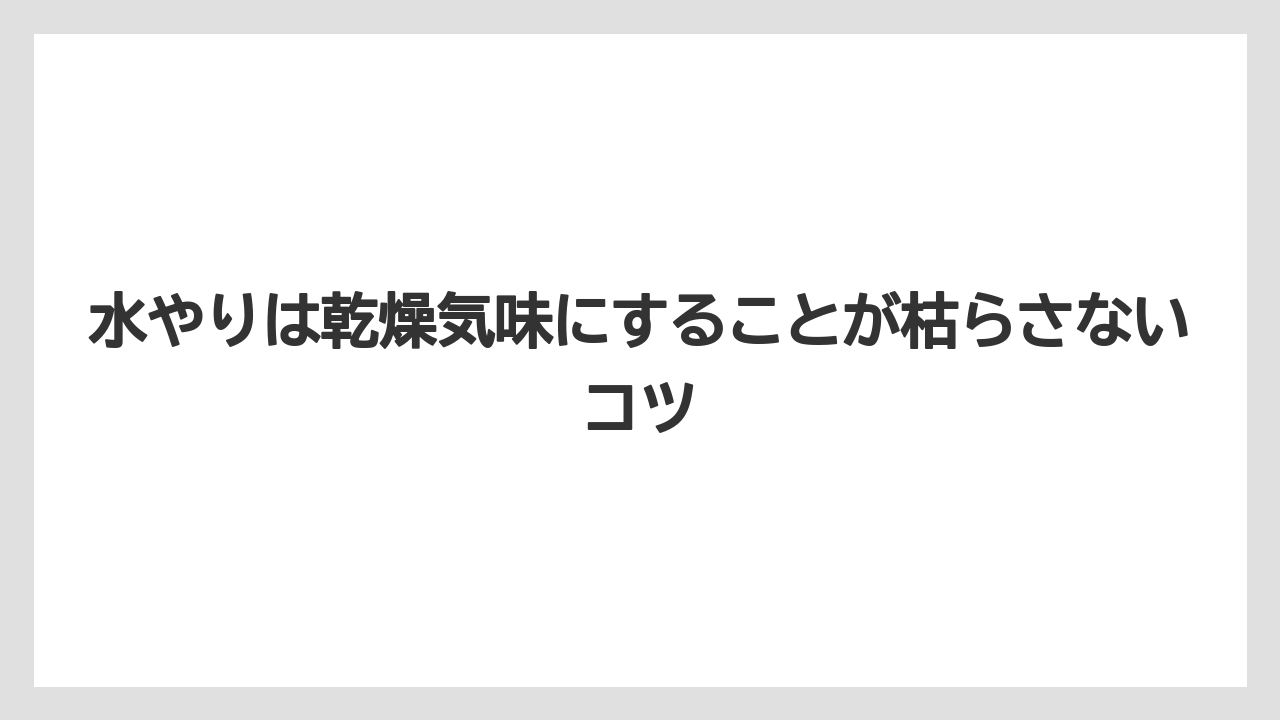 【サンスベリア】【栽培】【農業】水やりは乾燥気味にすることが枯らさないコツ