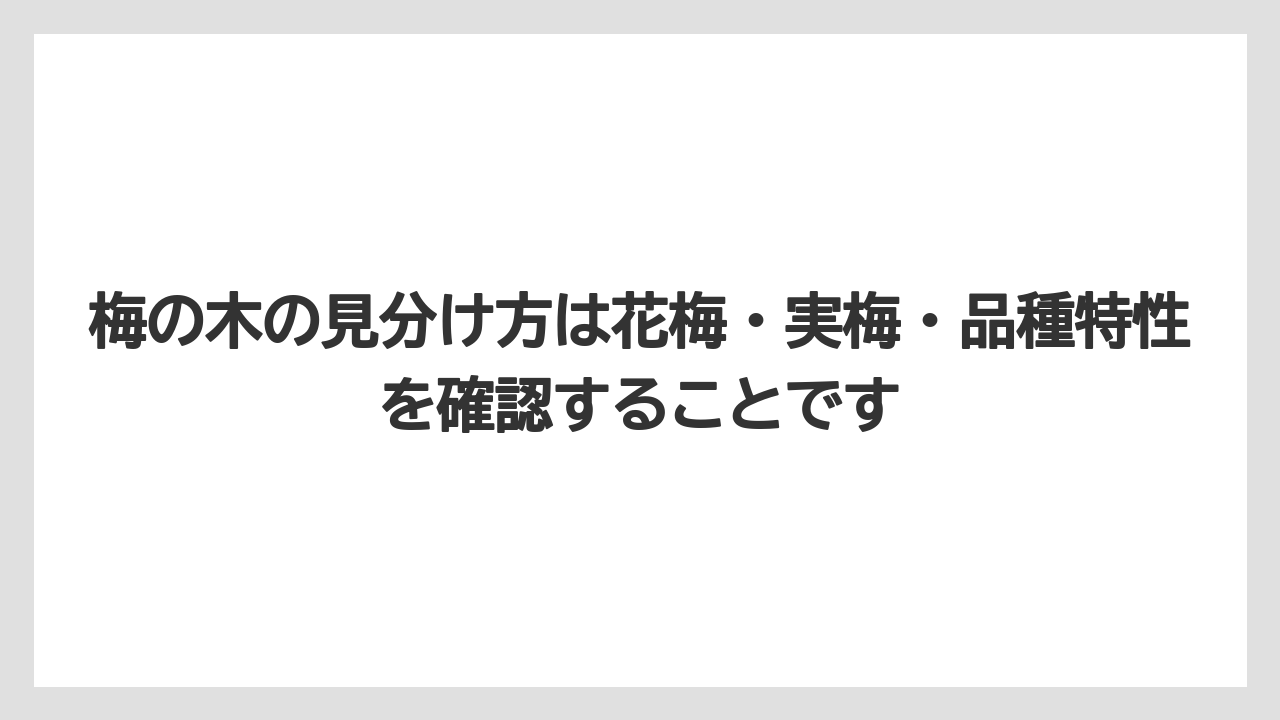 梅の木の見分け方は花梅・実梅・品種特性を確認することです