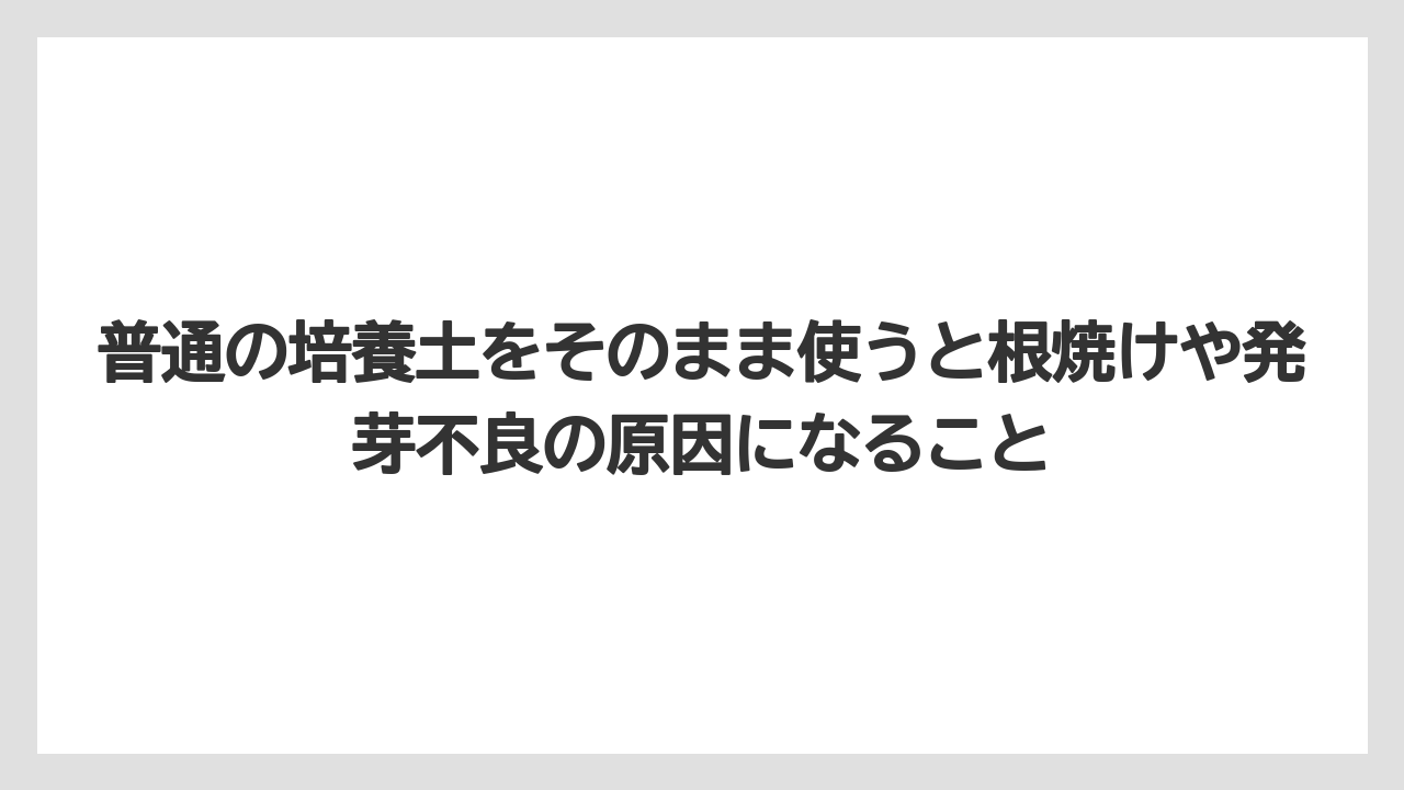 【100均】【栽培】【農業】普通の培養土をそのまま使うと根焼けや発芽不良の原因になること