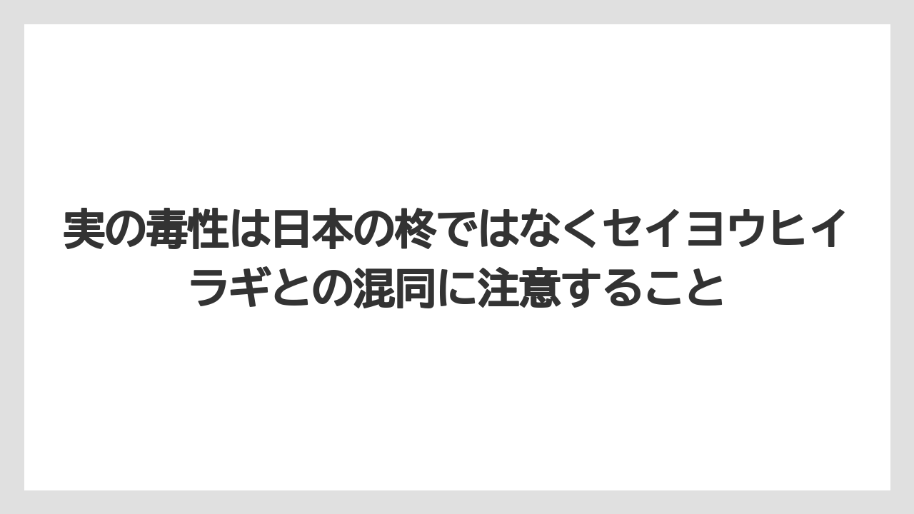 【栽培】【農園】【農業】実の毒性は日本の柊ではなくセイヨウヒイラギとの混同に注意すること