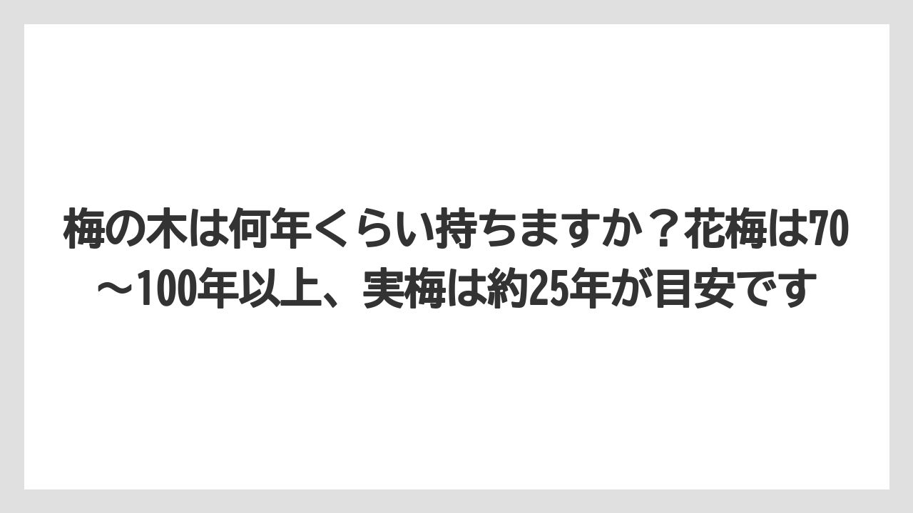 梅の木は何年くらい持ちますか？花梅は70〜100年以上、実梅は約25年が目安です