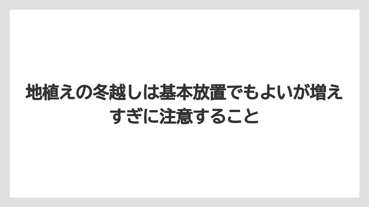 【ミント】【栽培】【農業】地植えの冬越しは基本放置でもよいが増えすぎに注意すること