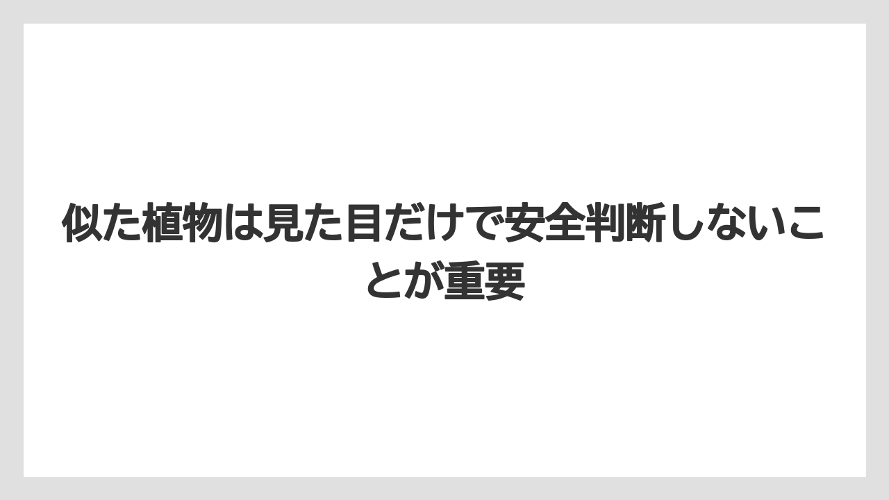 【栽培】【農園】【農業】似た植物は見た目だけで安全判断しないことが重要
