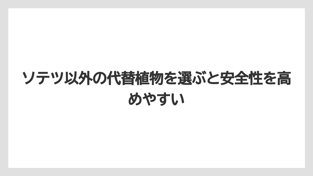 【栽培】【農園】【農業】ソテツ以外の代替植物を選ぶと安全性を高めやすい