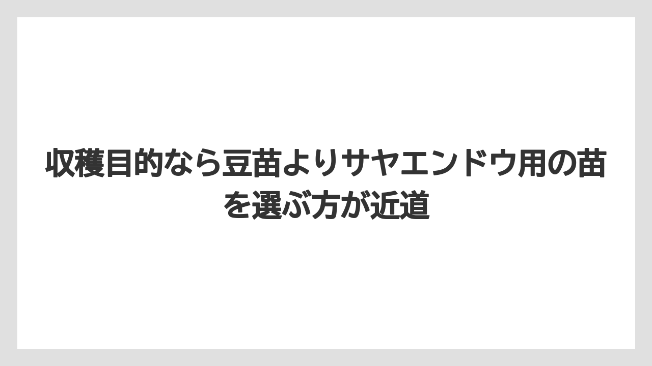 【栽培】【豆苗】【農業】収穫目的なら豆苗よりサヤエンドウ用の苗を選ぶ方が近道