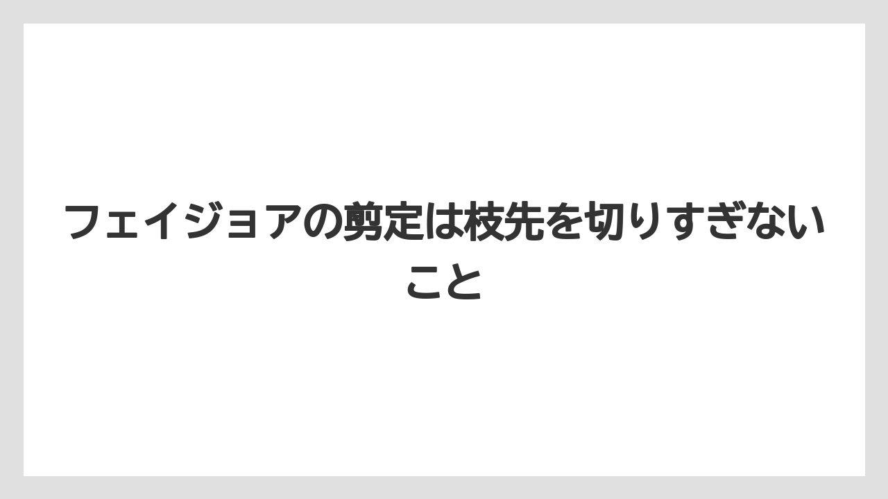 【フェイジョア】【後悔】【栽培】【植え】フェイジョアの剪定は枝先を切りすぎないこと