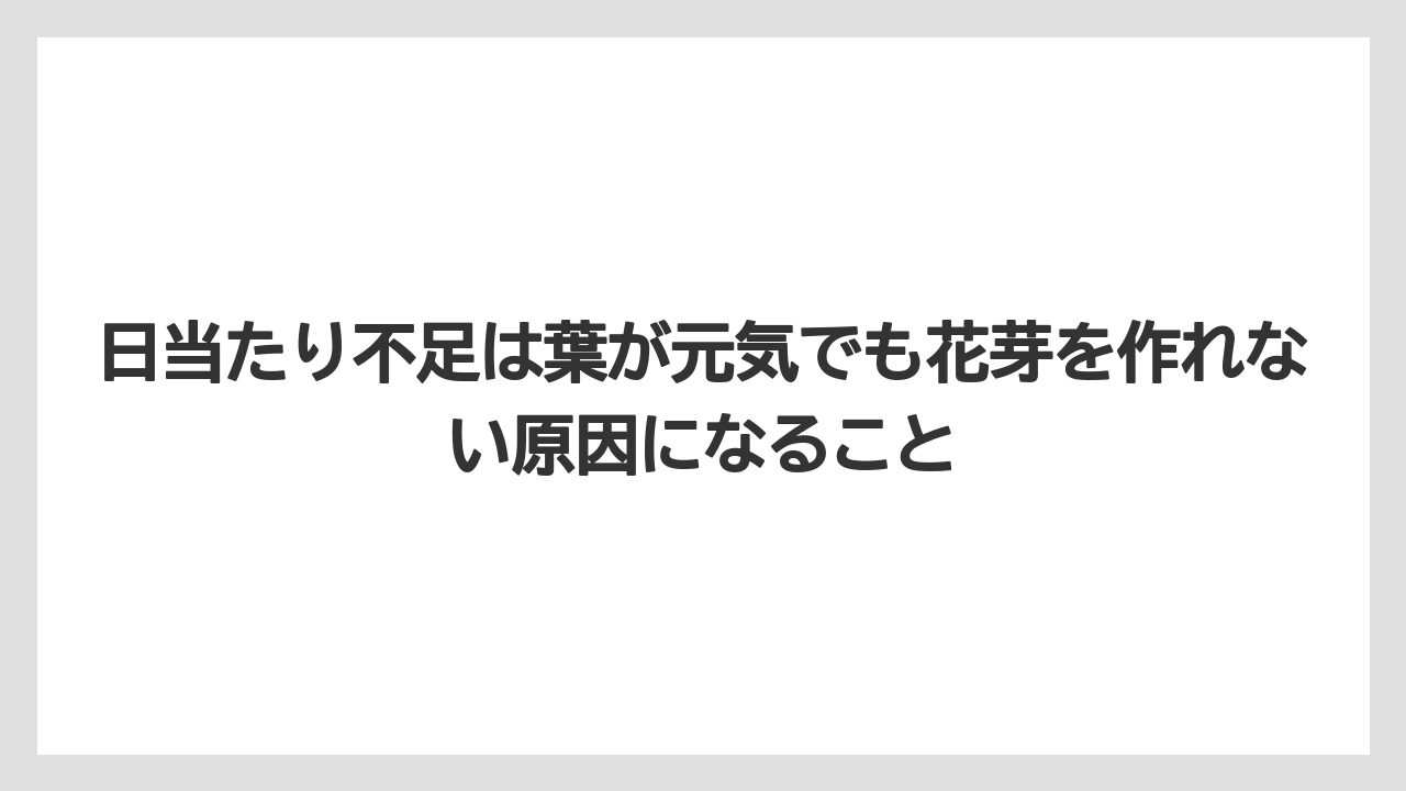【栽培】【農園】【農業】日当たり不足は葉が元気でも花芽を作れない原因になること