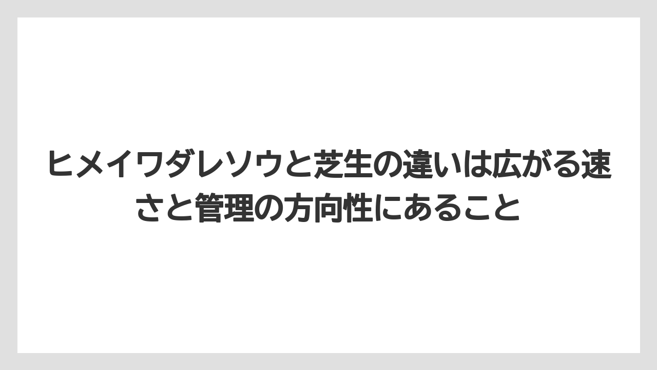 【栽培】【農園】【農業】ヒメイワダレソウと芝生の違いは広がる速さと管理の方向性にあること