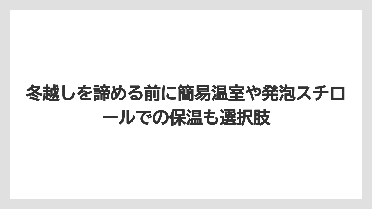 【剪定】【栽培】【越し】冬越しを諦める前に簡易温室や発泡スチロールでの保温も選択肢