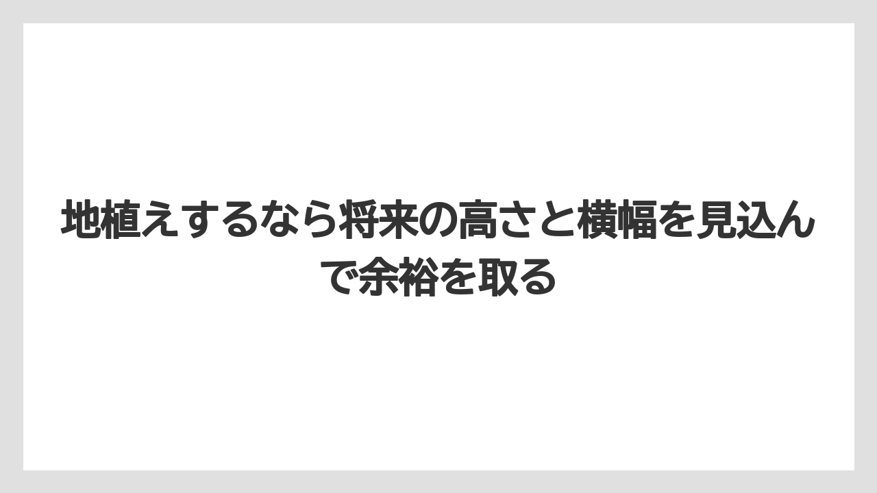 【栽培】【農園】【農業】地植えするなら将来の高さと横幅を見込んで余裕を取る
