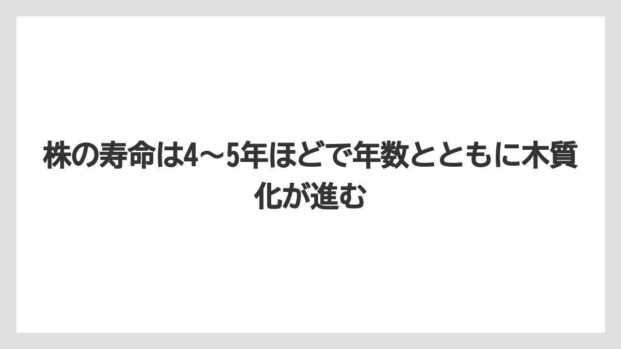 【バラ】【栽培】【農業】株の寿命は4〜5年ほどで年数とともに木質化が進む