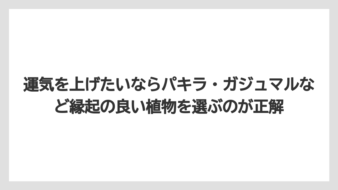 【栽培】【植物】【農業】運気を上げたいならパキラ・ガジュマルなど縁起の良い植物を選ぶのが正解