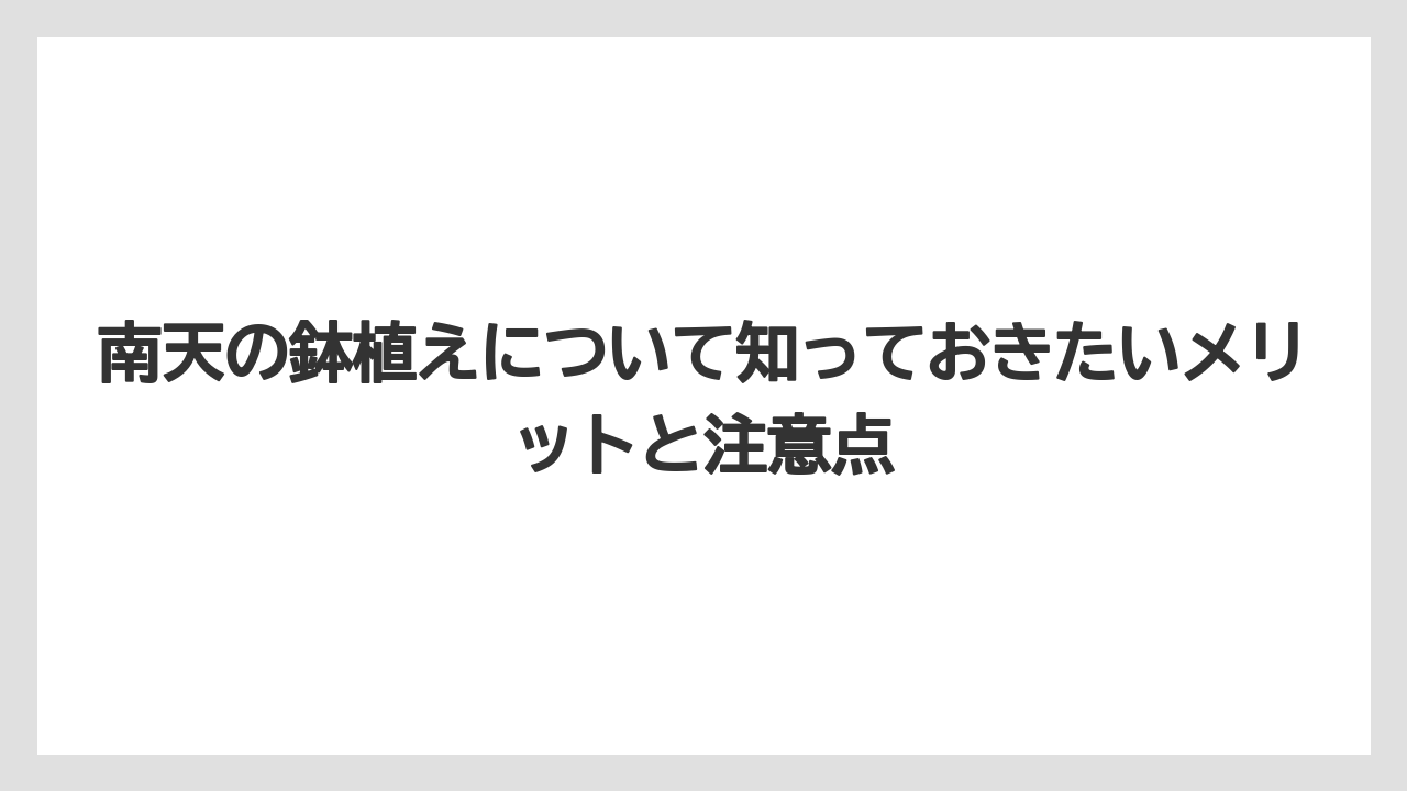 【栽培】【農園】【農業】南天の鉢植えについて知っておきたいメリットと注意点