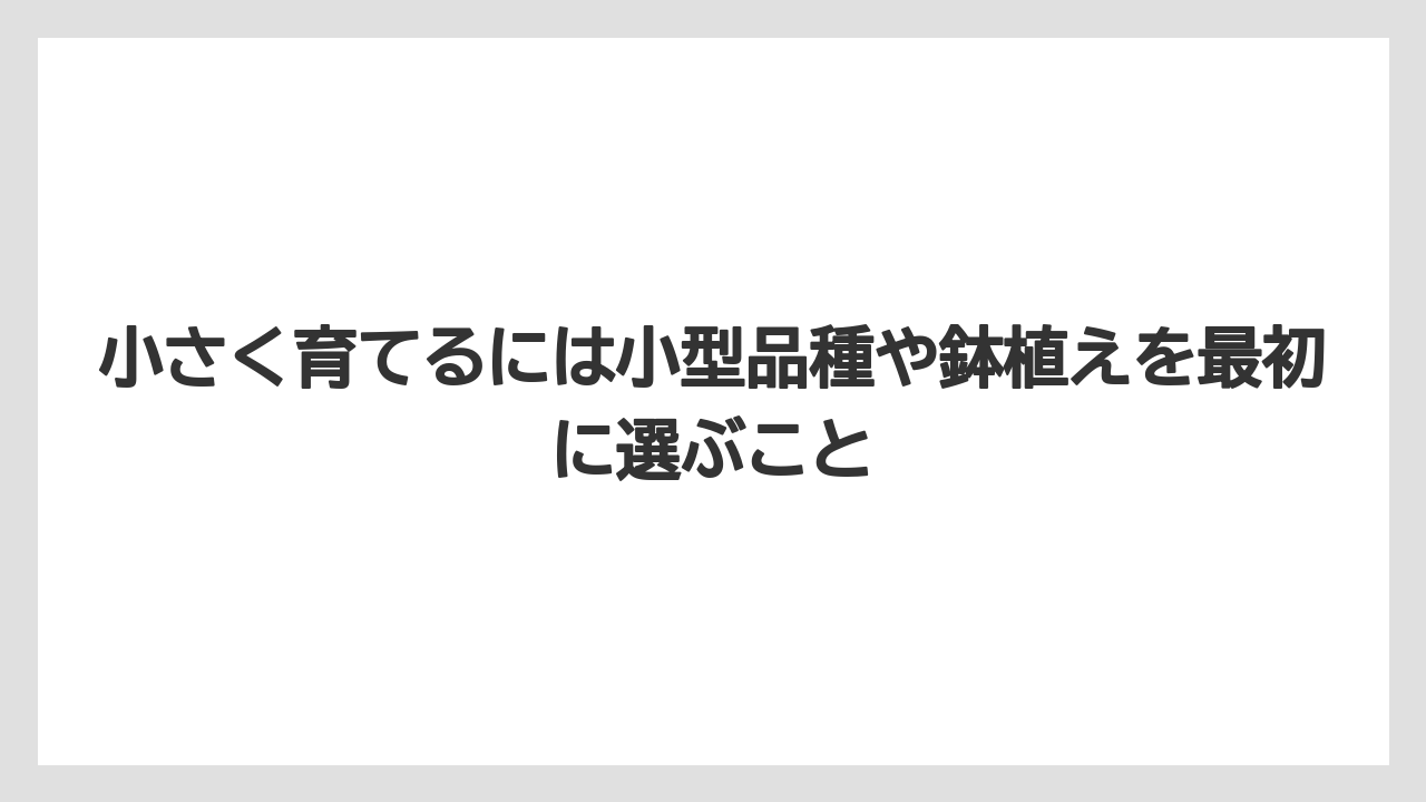 【栽培】【農園】【農業】小さく育てるには小型品種や鉢植えを最初に選ぶこと