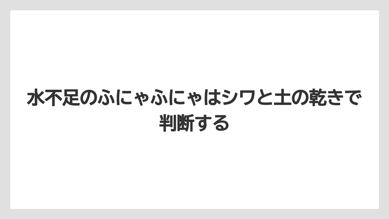 【木】【栽培】【農業】水不足のふにゃふにゃはシワと土の乾きで判断する