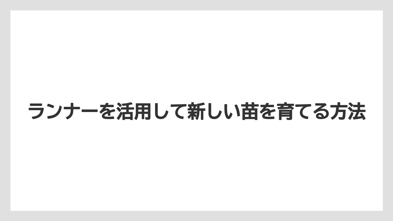 【栽培】【植え】【農業】ランナーを活用して新しい苗を育てる方法